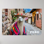 Peru Llama Poster (Voorkant)