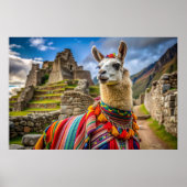Peru Llama Poster (Voorkant)