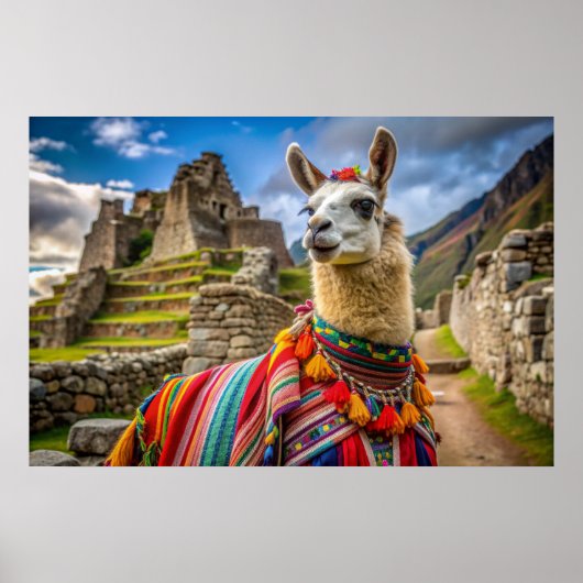 Peru Llama Poster (Voorkant)