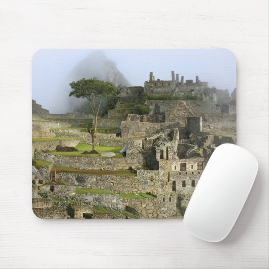 Peru, Machu Picchu. Het oude citadel van Muismat (Met muis)