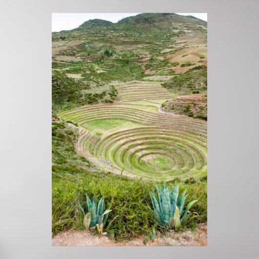Peru, Moray. Moray Inca landbouw laboratorium Poster (Voorkant)