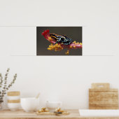 Peru, Peruviaans regenwoud. Gifkikker Poster (Keuken)
