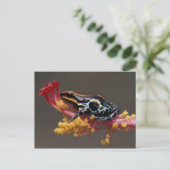 Peru, Peruviaans regenwoud. Poison Arrow Frog Briefkaart (Staand voorkant)