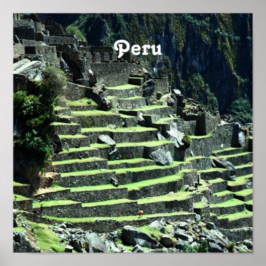 Peru Ruins Poster (Voorkant)