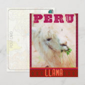 Peru Travel Briefkaart - De Llamas van Peru (Voorkant / Achterkant)