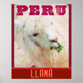 Peru Travel Poster - De Llamas van Peru