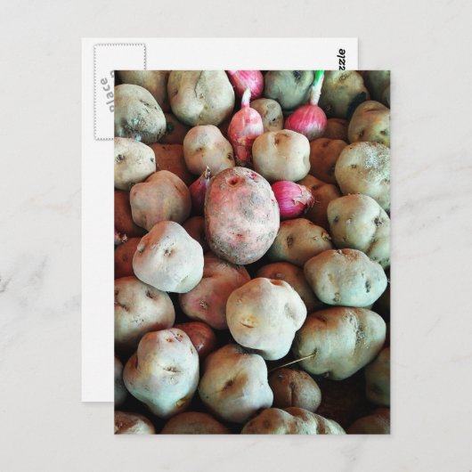 Peruaanse aardappelen briefkaart (Voorkant / Achterkant)