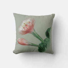 Peruaanse Apple Kussen