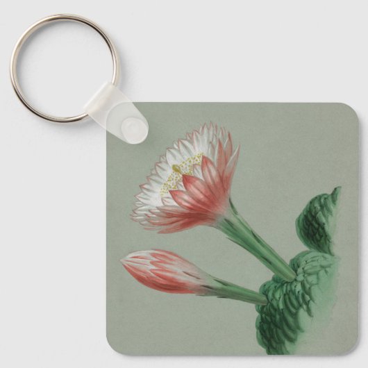 Peruaanse Apple Sleutelhanger (Voorkant)