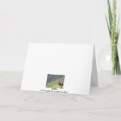 peruaanse lama kaart (Achterkant)