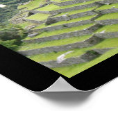 peruaanse lama poster (Hoek)