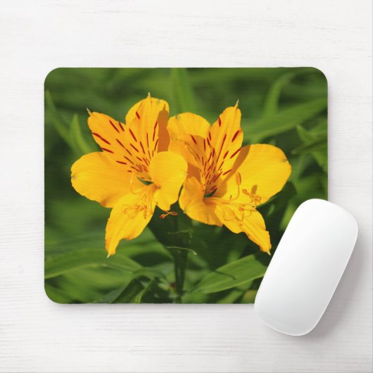 Peruaanse Lilies Muismat (Met muis)