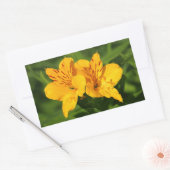 Peruaanse Lilies Rechthoekige Sticker (Envelop)