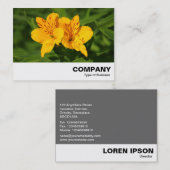 Peruaanse Lilies Visitekaartje (Voorkant / Achterkant)