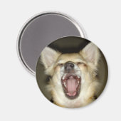 Peruaanse magnet (Voorkant / Achterkant)