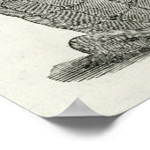 Peruaanse mummies poster (Hoek)