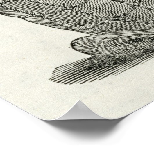 Peruaanse mummies poster (Hoek)