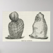 Peruaanse mummies poster (Voorkant)