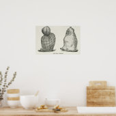 Peruaanse mummies poster (Keuken)