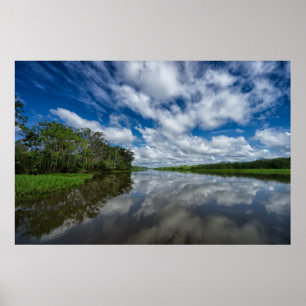 Peruaanse Oerwoud Reflectie Poster