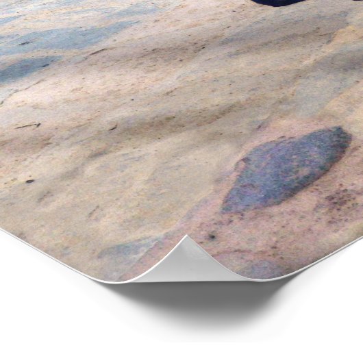 Peruaanse vrouwen Holding Flowers Poster (Hoek)