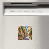 Perugia Italië Reizen Magneet (Insitu (Vaatwasser))