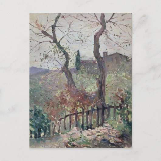 Perugia, Umbrië, 1894 Briefkaart (Voorkant)