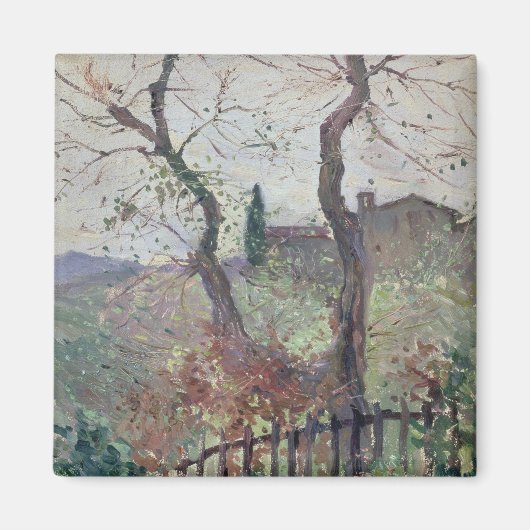 Perugia, Umbrië, 1894 Magneet (Voorkant)