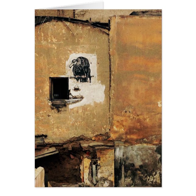 peruviaanse gier - muur (Voorkant)