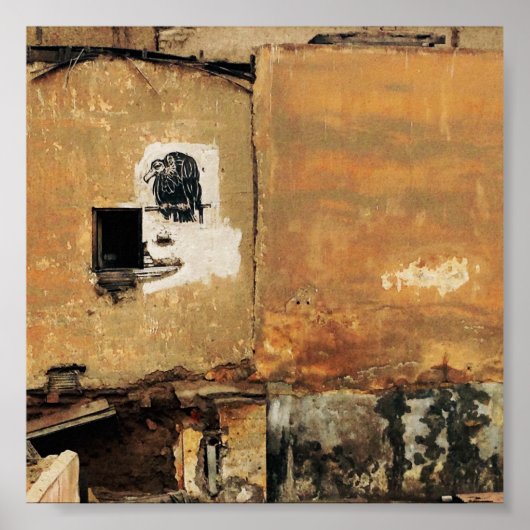 peruviaanse gier - muur poster (Voorkant)