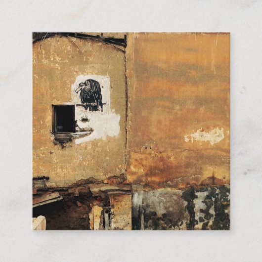 peruviaanse gier - muur vierkante visitekaartje (Voorkant)