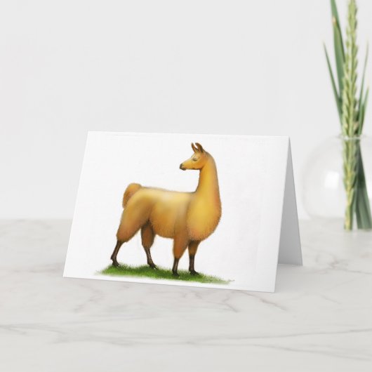 Peruviaanse Lama Kaart (Voorkant)