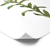 Peruviaanse lelie (Alstromeria pelegrina) door Red Poster (Hoek)