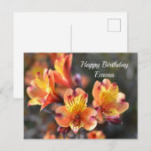 Peruviaanse Lily Flowers op RHS Garden Wisley Briefkaart (Voorkant / Achterkant)