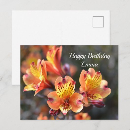 Peruviaanse Lily Flowers op RHS Garden Wisley Briefkaart (Voorkant / Achterkant)