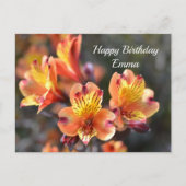 Peruviaanse Lily Flowers op RHS Garden Wisley Briefkaart (Voorkant)