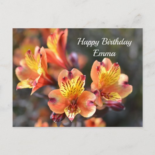 Peruviaanse Lily Flowers op RHS Garden Wisley Briefkaart (Voorkant)