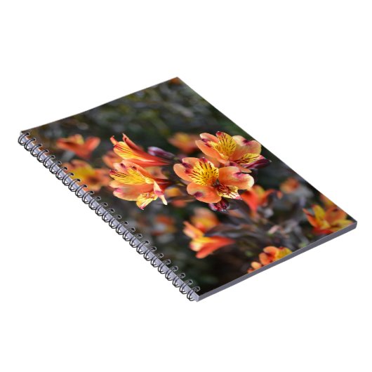 Peruviaanse Lily Flowers op RHS Garden Wisley Notitieboek (Rechterzijde)