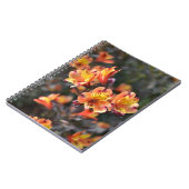 Peruviaanse Lily Flowers op RHS Garden Wisley Notitieboek (Linkerzijde)