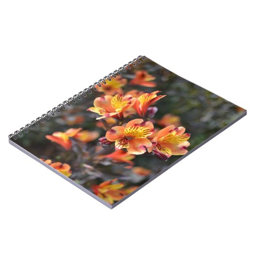 Peruviaanse Lily Flowers op RHS Garden Wisley Notitieboek (Linkerzijde)