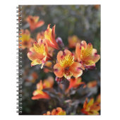 Peruviaanse Lily Flowers op RHS Garden Wisley Notitieboek (Voorkant)