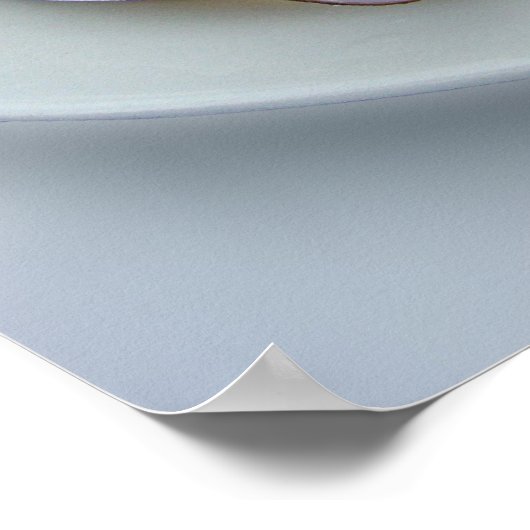 Peruvian Ceviche Poster (Hoek)