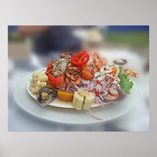 Peruvian Ceviche Poster (Voorkant)