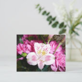 Peruvian Lily Briefkaart (Staand voorkant)