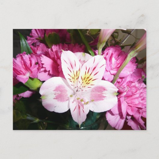 Peruvian Lily Briefkaart (Voorkant)