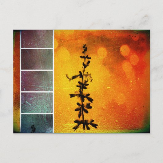 Pervoskia Collage Aflame Briefkaart (Voorkant)