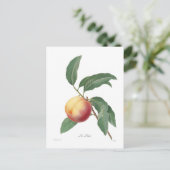 Perzeren Briefkaart (Staand voorkant)