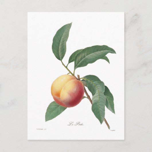 Perzeren Briefkaart (Voorkant)