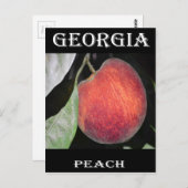 Perzeren Briefkaart (Voorkant / Achterkant)