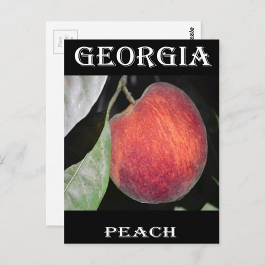 Perzeren Briefkaart (Voorkant / Achterkant)